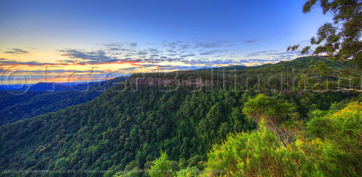 Peter Bellingham Photography Canyon Lookout - Springbrook National Park - QLD T (PB5D 00 3891)